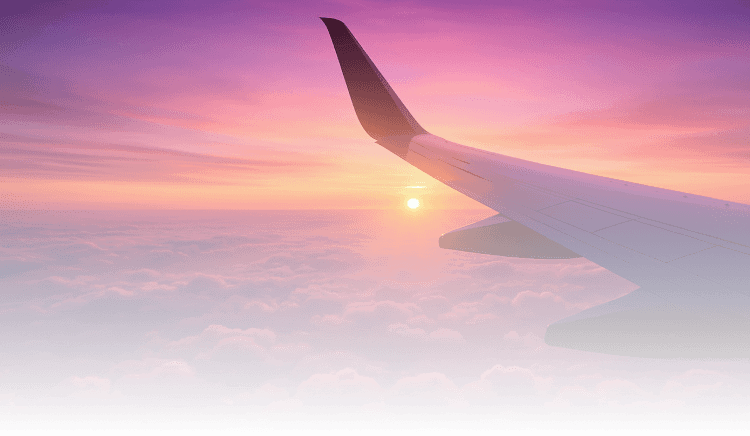 flight
